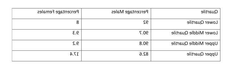 Pay Statement 